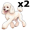 poodle walking5